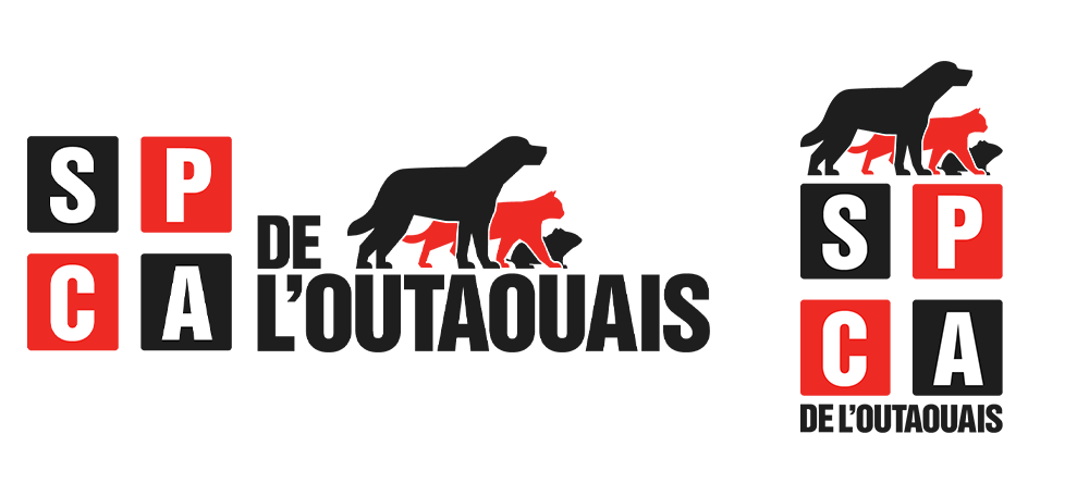 Image is not available