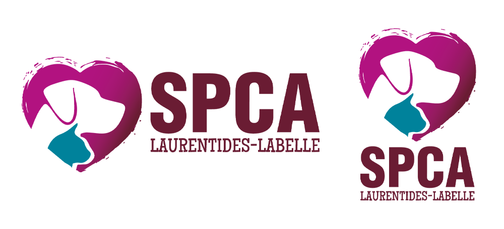 Image is not available