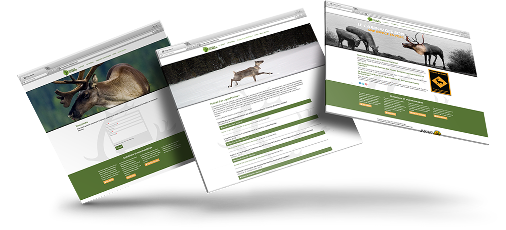 Image is not available