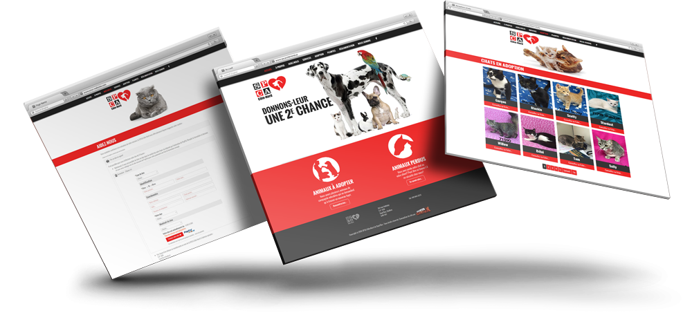 Image is not available