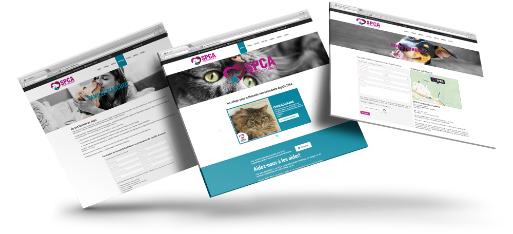 Image is not available